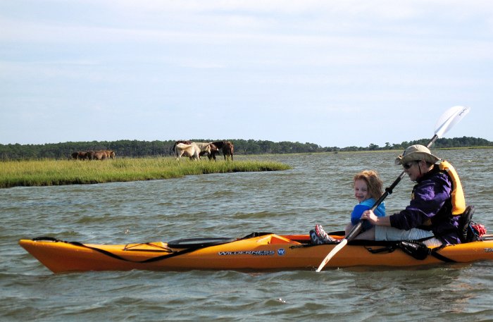 Passing the Ponies